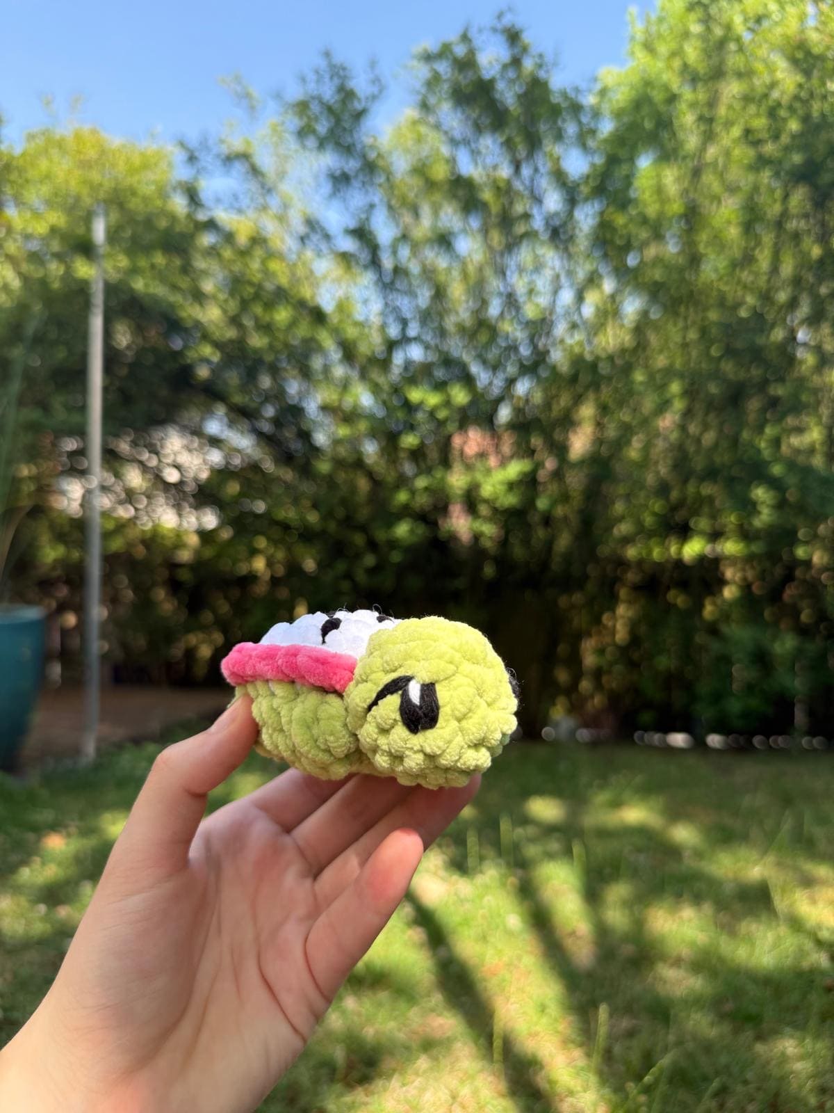 Mini Tortue Fruit du Dragon đ Hecrochet