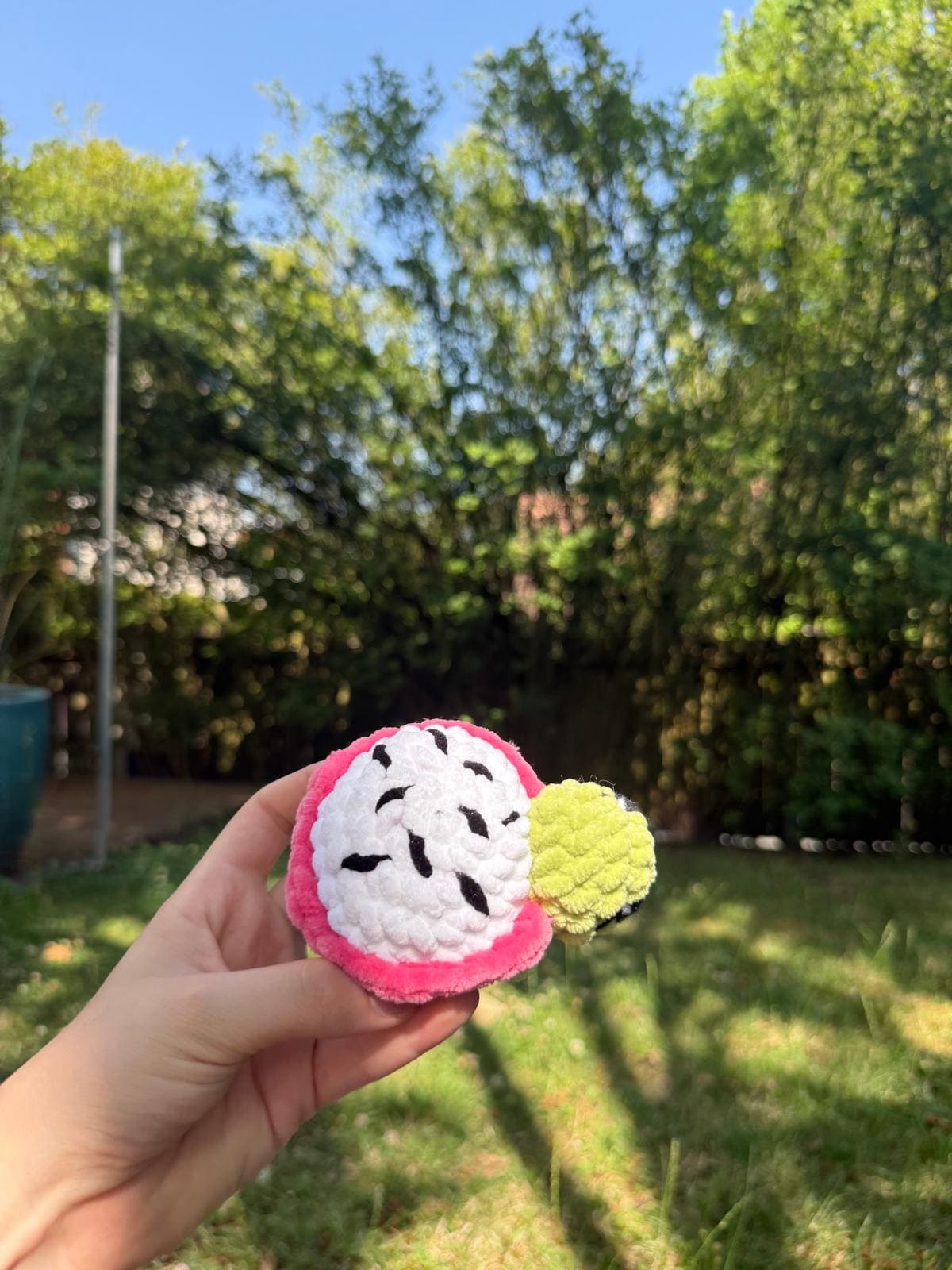 Mini Tortue Fruit du Dragon đ Hecrochet