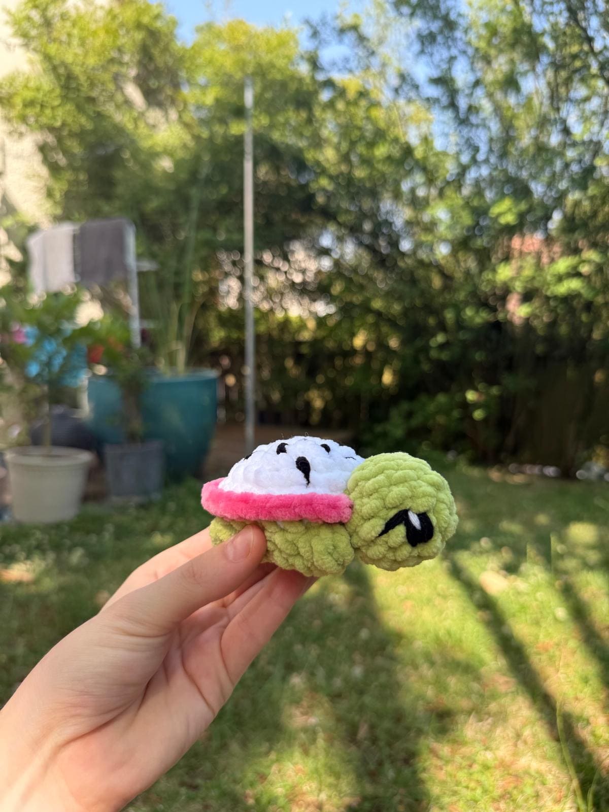 Mini Tortue Fruit du Dragon đ Hecrochet