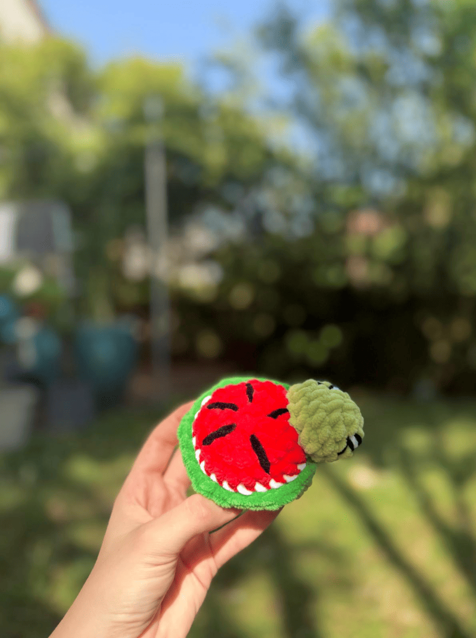 Mini Tortue Pastèque 🍉 Hecrochet